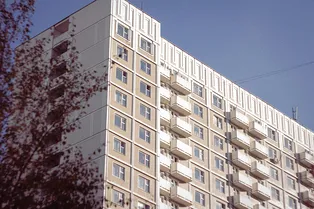 Москвичам рассказали о погоде на выходных: ждать зимней сказки не стоит