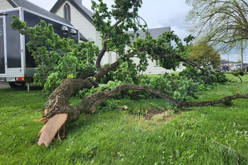 В Новой Зеландии бушует сильнейший ветер: тысячи человек остались без света, школы и магазины закрыты В Новой Зеландии бушует сильнейший ветер: тысячи человек остались без света, школы и магазины закрыты