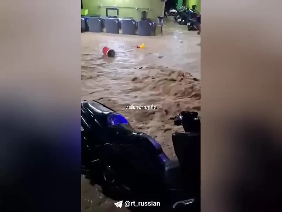 Нажми и смотри