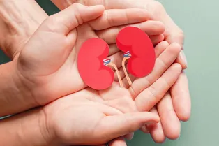 Как лишний вес влияет на почки Как лишний вес влияет на почки