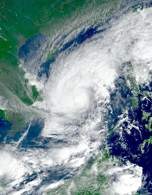 Тайфун Кото Тайфун Кото