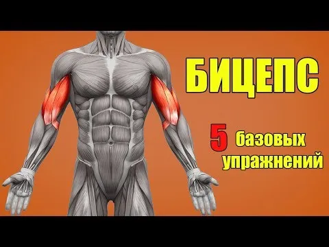 Нажми и смотри Нажми и смотри