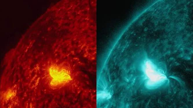 Нажми и смотри