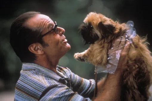 Лучшие фильмы