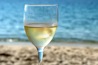 Какое вино лучше выбрать в жару Какое вино лучше выбрать в жару