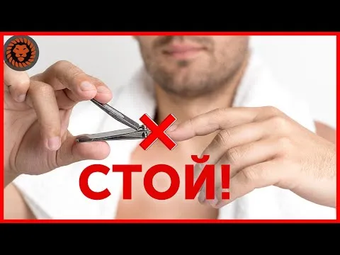 Нажми и смотри Нажми и смотри