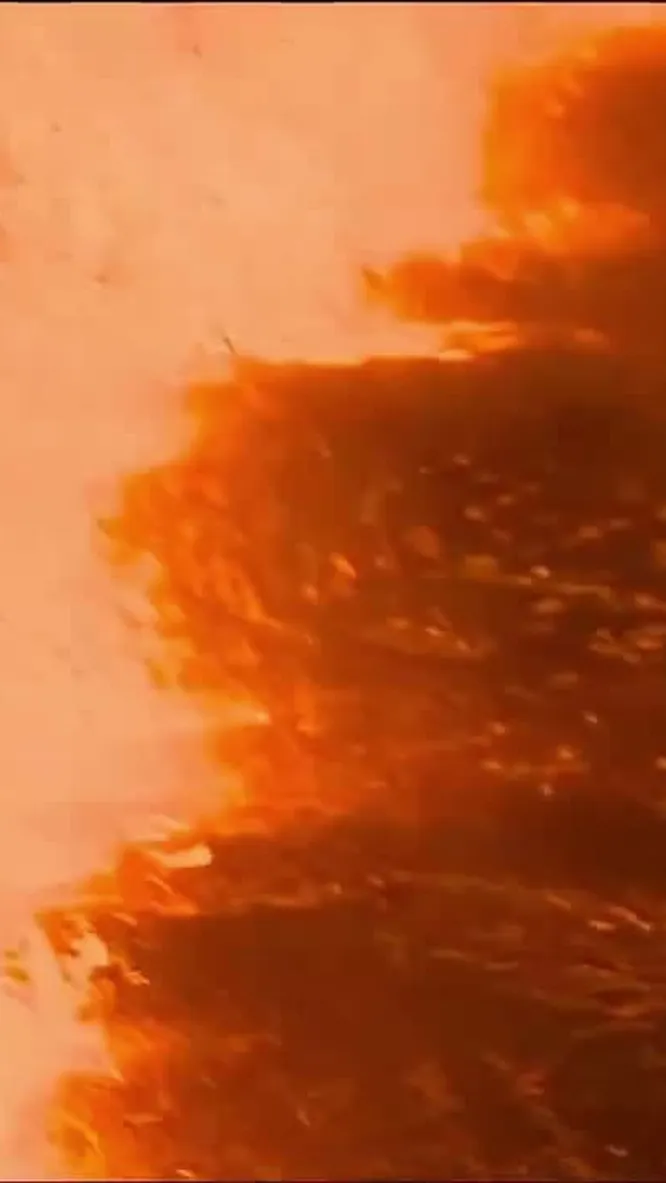 Нажми и смотри