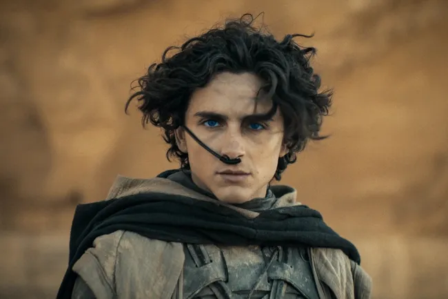 Тимоти Великолепный: почему все сходят с ума по Шаламе