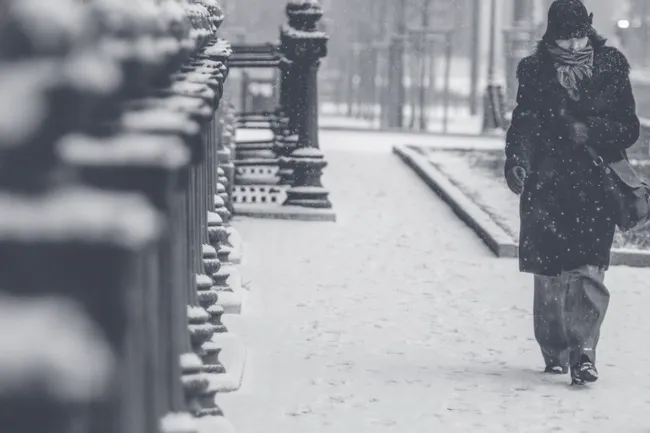 Снежный циклон добрался до Москвы: погода и магнитные бури в столице 27 января