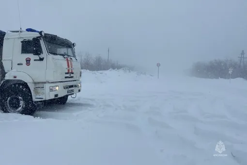Поваленные деревья и перебои со светом: снежный апокалипсис парализовал Камчатку Поваленные деревья и перебои со светом: снежный апокалипсис парализовал Камчатку