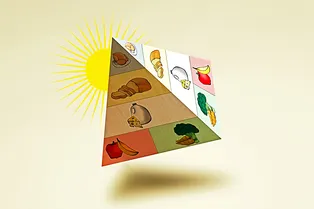 Как правильно худеть: гид по правильному питанию, который поможет сбросить вес Как правильно худеть: гид по правильному питанию, который поможет сбросить вес