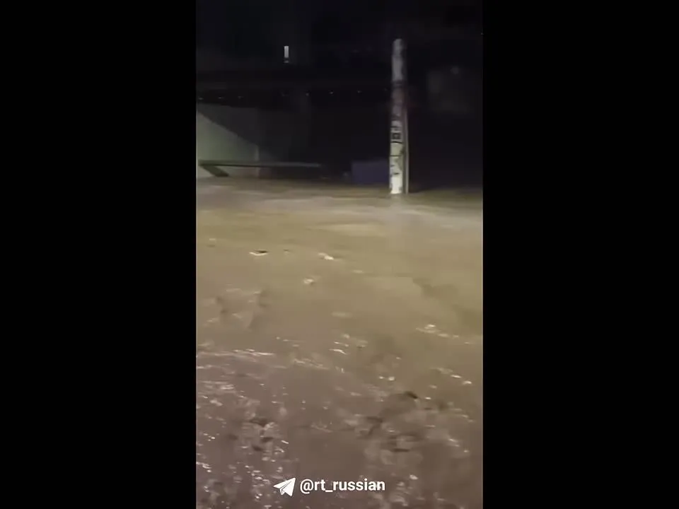 Нажми и смотри