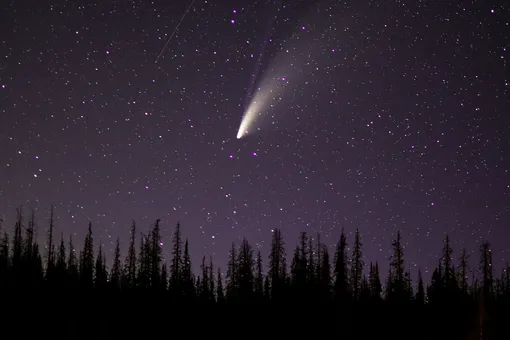 Две кометы и метеорный поток Орионид на следующей неделе: что наблюдать в ночном небе в октябре и ноябре? Две кометы и метеорный поток Орионид на следующей неделе: что наблюдать в ночном небе в октябре и ноябре?