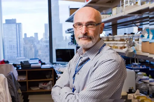 Александр Руденский