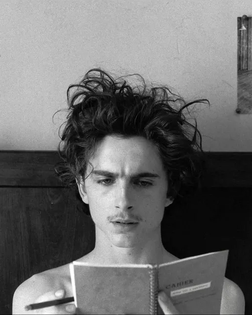 Тимоти Шаламе в фильме «Французский вестник. Приложение к газете "Либерти. Канзас Ивнинг Сан"» (2020)