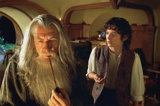 Иэн Маккеллен и Элайджа Вуд в фильме «Властелин колец: Братство кольца» (2001) Властелин колец