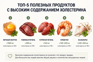 Топ-10 полезных продуктов, в которых много холестерина: инфографика Топ-10 полезных продуктов, в которых много холестерина: инфографика