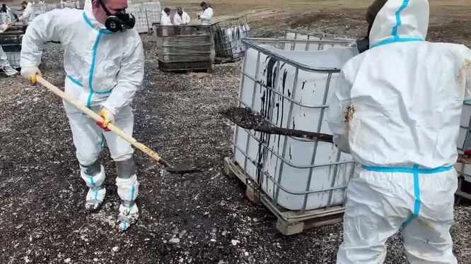 Нажми и смотри