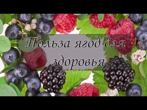 Нажми и смотри
