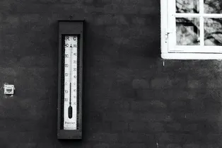 Как погода влияет на распространение COVID-19? Отвечают эксперты Как погода влияет на распространение COVID-19? Отвечают эксперты