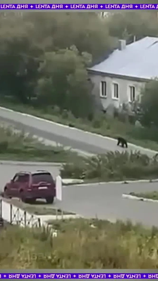 Нажми и смотри