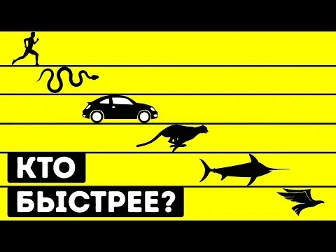 Нажми и смотри