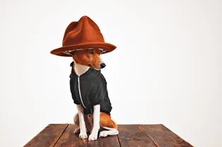 Как живет человек-собака: шокирующая история мужчины, который выбрал путь зверя Как живет человек-собака: шокирующая история мужчины, который выбрал путь зверя