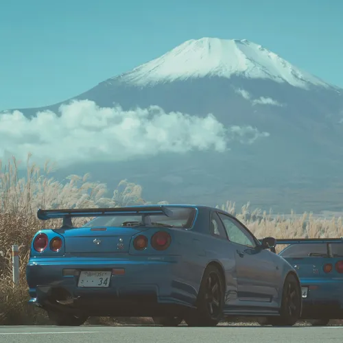 В Россию запретили ввозить праворульные автомобили и гибриды. Что ждет рынок?