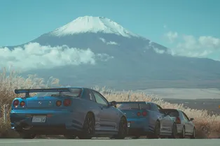 В Россию запретили ввозить праворульные автомобили и гибриды. Что ждет рынок?