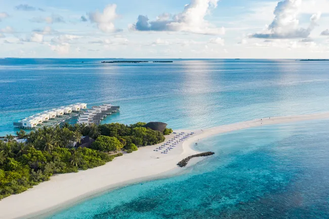 Назад в лето: джунгли, океан, полеты и погружения на курорте Dhigali Maldives