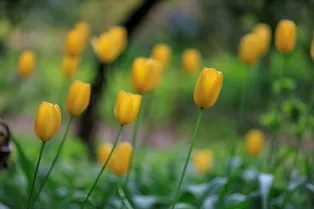 Март без осадков: аномальное тепло задержится в Москве до конца месяца