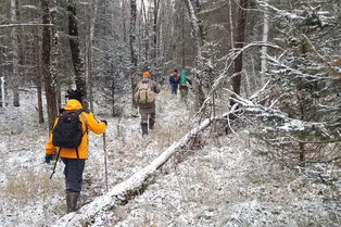 «Хорошо спрятали»: следователь объяснил, почему пропавшую семью Усольцевых до сих пор не нашли