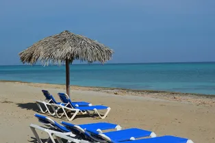 Сотни российских туристов оказались в эпицентре двух смертельных вирусов: на Кубе бушуют лихорадки чикунгунья и денге Сотни российских туристов оказались в эпицентре двух смертельных вирусов: на Кубе бушуют лихорадки чикунгунья и денге