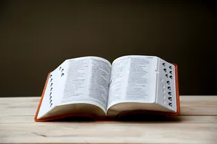 «Кринж» оказался самым кринжовым словом для россиян. Лол, инфа, имба раздражают ничуть не меньше «Кринж» оказался самым кринжовым словом для россиян. Лол, инфа, имба раздражают ничуть не меньше