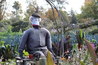 В России появится список «растений-иноагентов»: первым в него попадет борщевик Сосновского В России появится список «растений-иноагентов»: первым в него попадет борщевик Сосновского