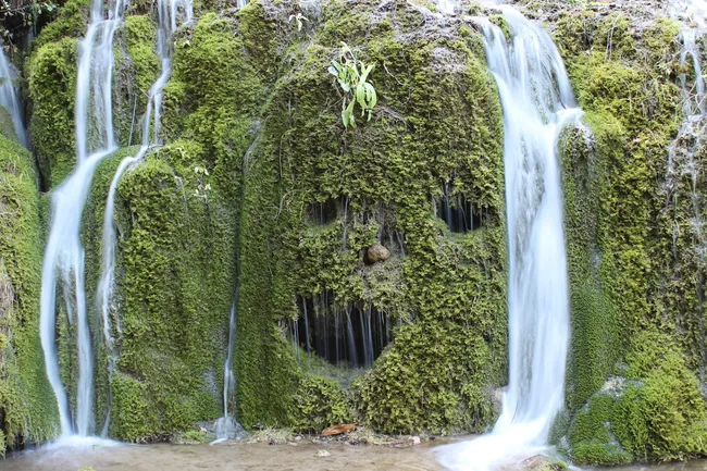 Лицевая парейдолия: почему мы видим человеческие лица в облаках, розетках, кусочках хлеба и других предметах?