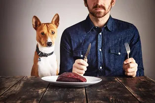 Какие продукты сильнее всего вредят кишечнику и желудку