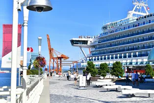 Больше тысячи россиян застряли на круизных лайнерах в Персидском заливе: что с ними будет