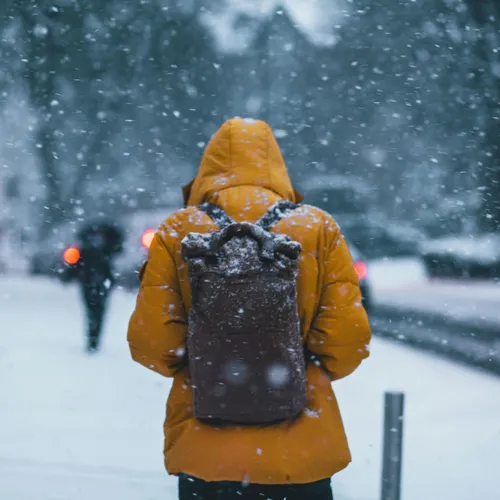 Таких снегопадов не было 200 лет: как аномальная зима бьет по кошелькам россиян?