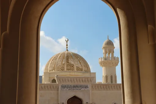 Восток станет ближе: еще одна страна готова запустить платежную систему «Мир»