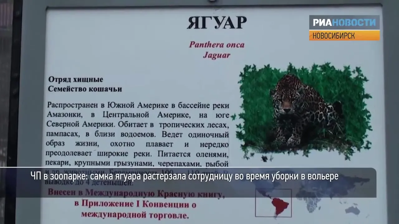 Нажми и смотри