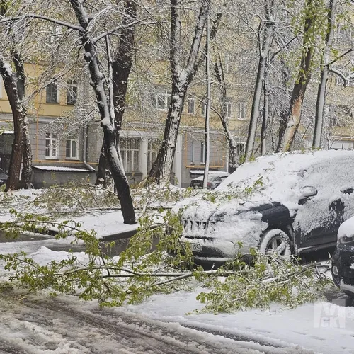 Снежный апокалипсис в апреле: почему погода сошла с ума и что нас ждет дальше