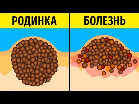 Нажми и смотри