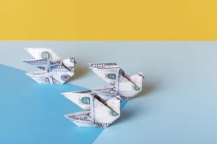 Доллар по 100 был бы полезнее: почему российский рубль назвали «заразой»