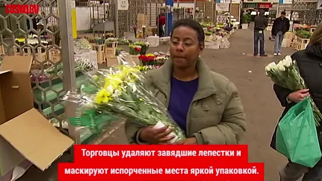 Нажми и смотри