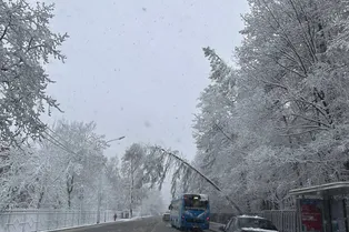 Снегопады продолжаются: погода и магнитные бури в Москве 29 апреля