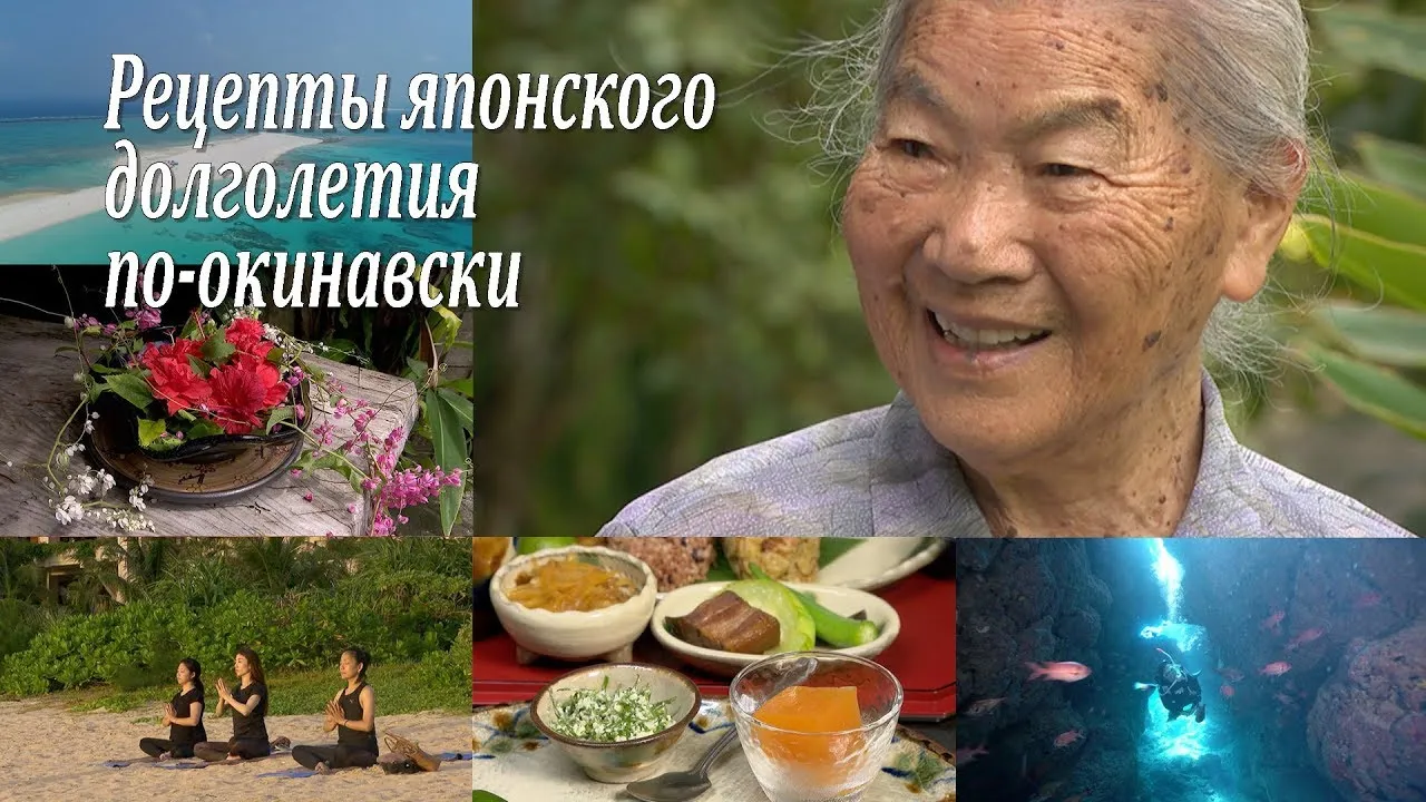 Нажми и смотри Нажми и смотри