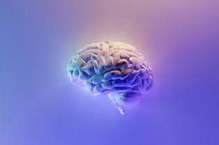 Ученые рассчитали возраст, когда интеллект человека выходит на пик: проверьте себя