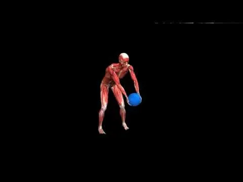 Нажми и смотри