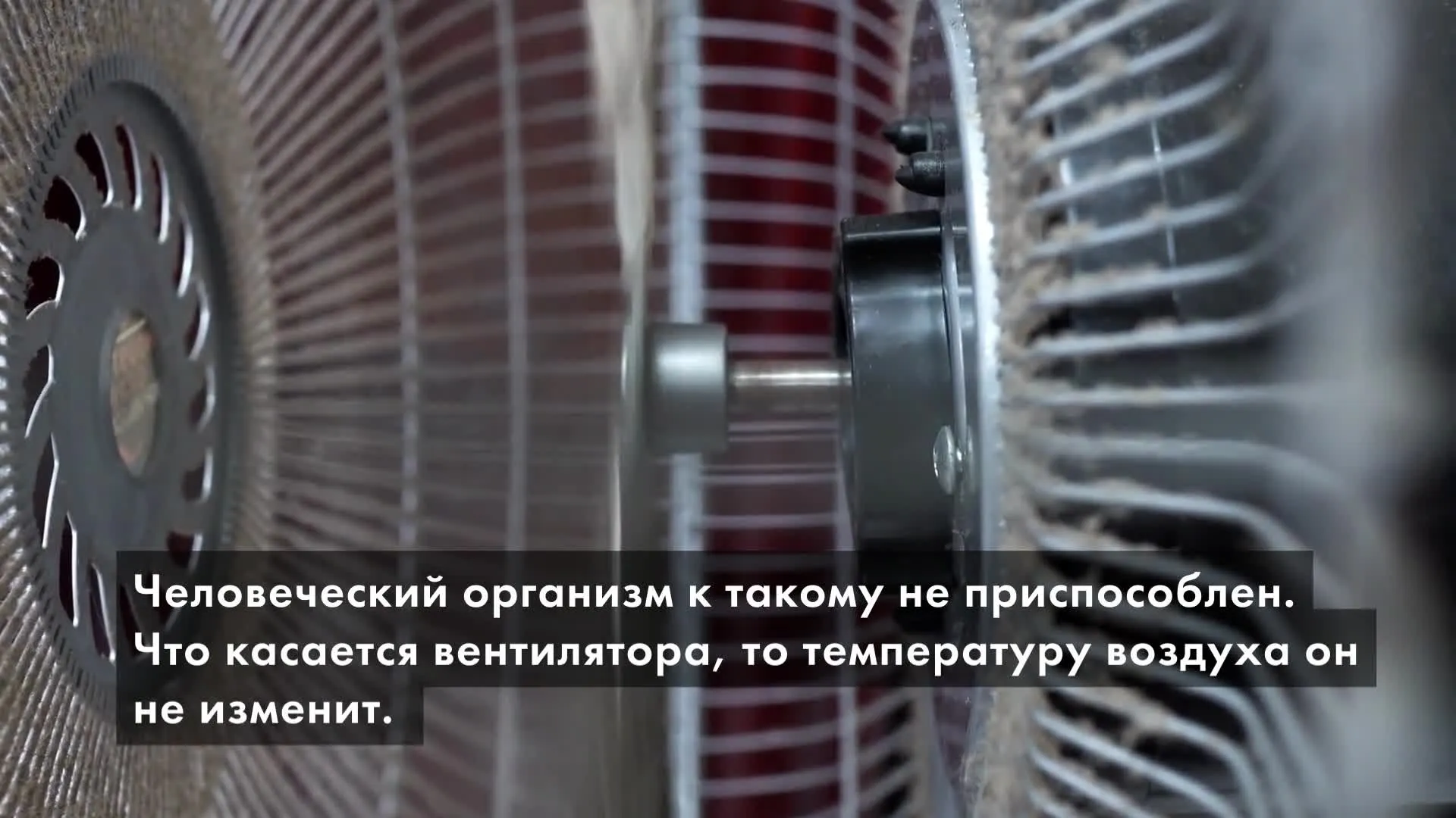 Нажми и смотри